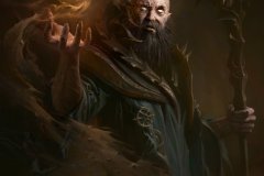 The Curator