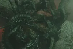 diabloiv_vlcsnap-2025-12-12-03h51m34s774