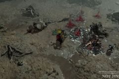 D4_Necro_Blight