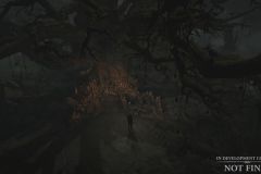 D4_Necromancer_TreeofWhispers_001