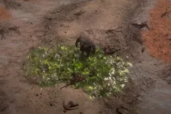 diabloiv_Kepernyofelvetel-1125