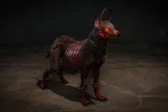 DIA_S9_Web_SeasonJourneyPet_Dante_MF_01