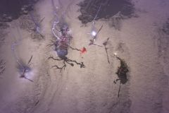 Season of Witchcraft - Headhunts & Monsters