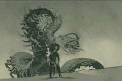 Diablo IV: Spiritborn Art