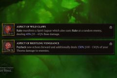 Diablo IV: Spiritborn Aspect