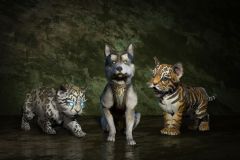 Diablo IV: Vessel of Hatred - Pets