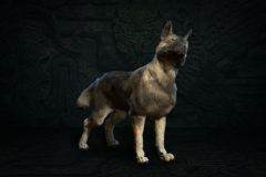 Diablo IV: Vessel of Hatred - Pet