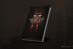 The Art of Path of Exile II