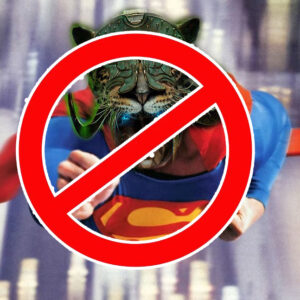 dont_spiritborn_superman